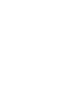 Illustrator icon
